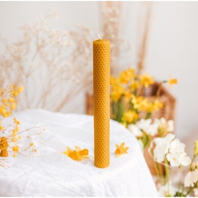 Bičių vaško žvakė iš korio (41 x 3,5 cm)
