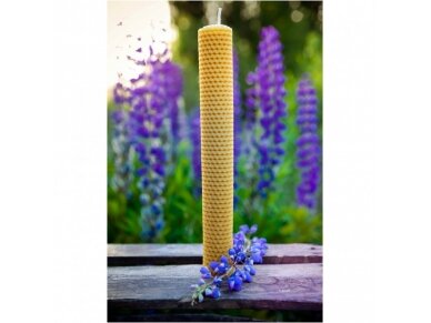 Beeswax candle (26 x 3 cm) 2