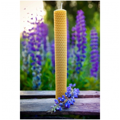Bičių vaško žvakė iš korio (41 x 2,4 cm) 2