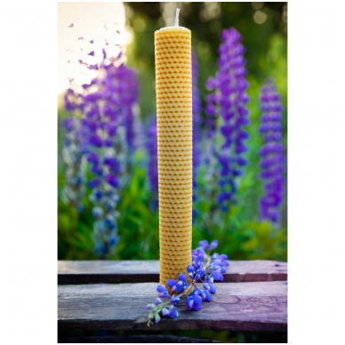Bičių vaško žvakė iš korio (41 x 3,5 cm) 2